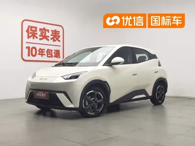 BYD Seagull