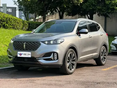 WEY Wey VV6