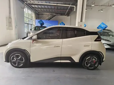 BYD Seagull