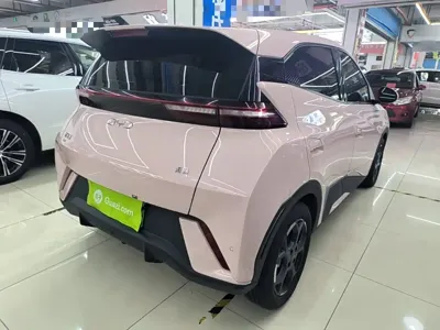 BYD Seagull