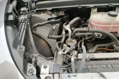 IM LS6