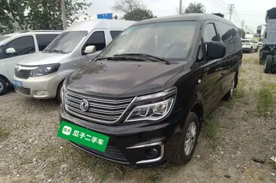 Forthing Lingzhi
