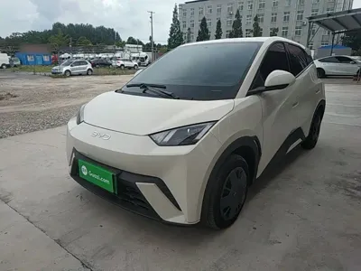 BYD Seagull