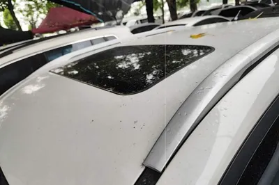 Wuling Alvez