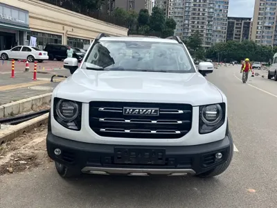 Haval Big Dog