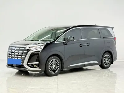 Denza Denza D9