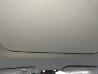 NETA Neta L