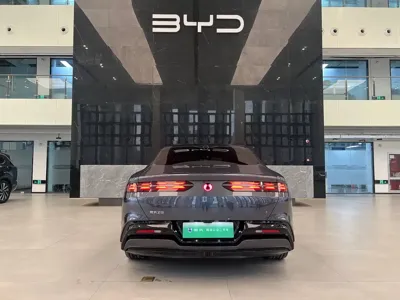 Denza Denza Z9