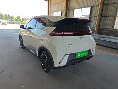 BYD Seagull