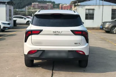 NETA V