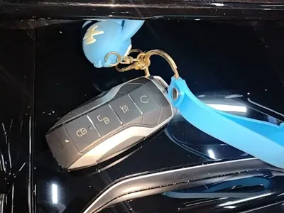 BYD Tang New Energy