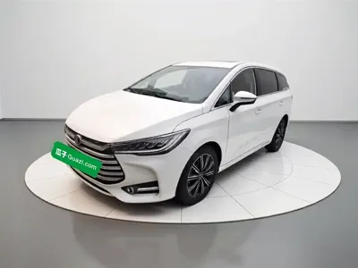 BYD MAX New Energy