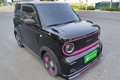Geely Galaxy Panda