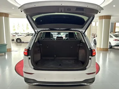 Volkswagen Viloran