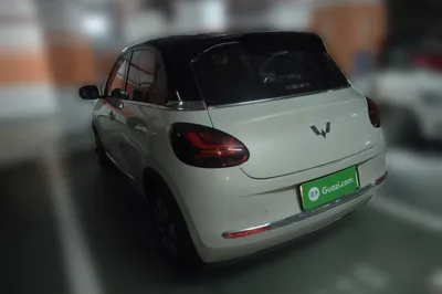Wuling Bingo