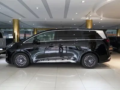 Denza Denza D9