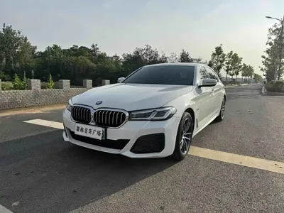 BMW 5 Series New Energy