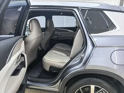 BYD Pro New Energy