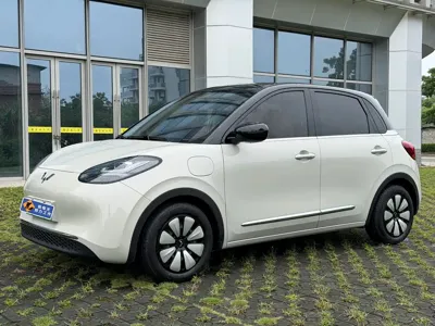 Wuling Bingo