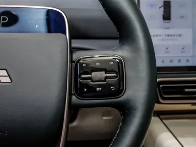 Li Auto Li MEGA