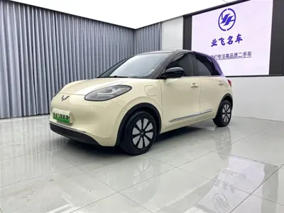 Wuling Bingo