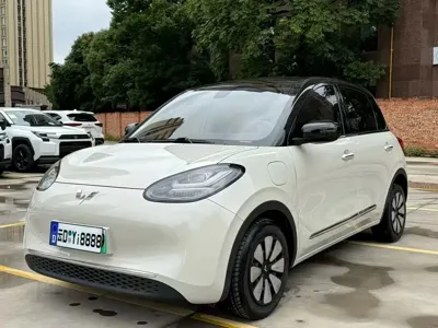 Wuling Bingo