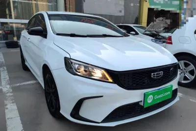 Geely Auto Binray