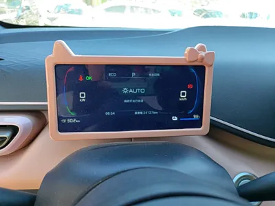 BYD Seagull