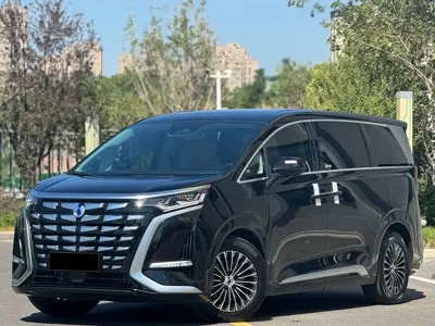 Denza Denza D9