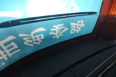 Leapmotor C16