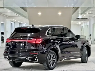 Hongqi Hongqi HS5
