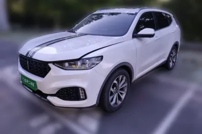 WEY VV6