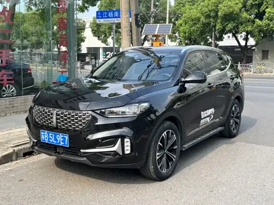 WEY Wey VV6