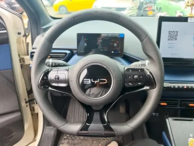BYD Seagull