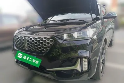 WEY VV6
