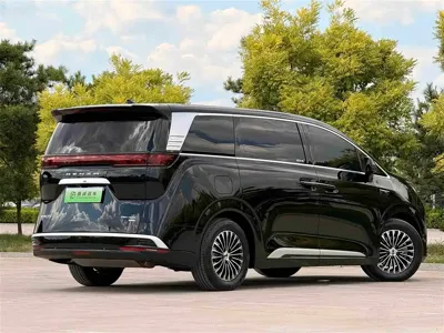 Denza Denza D9