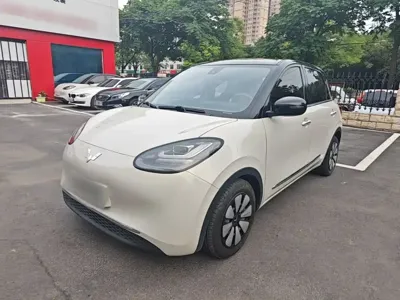 Wuling Bingo