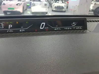 NETA Neta V