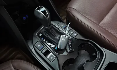 Hyundai Maxcruz