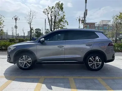 BYD Pro