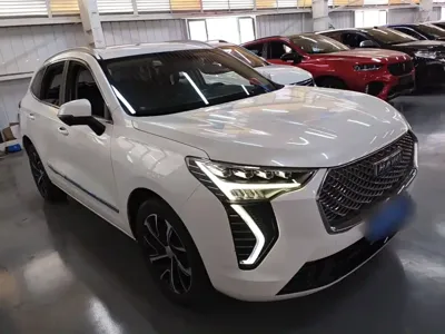Haval Chulian