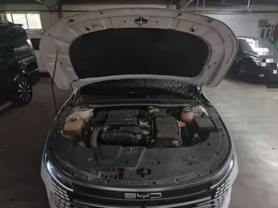 BYD Destroyer 05