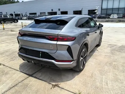 BYD L EV
