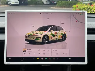 Tesla Model Y L