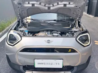MINI MINI ACEMAN EV