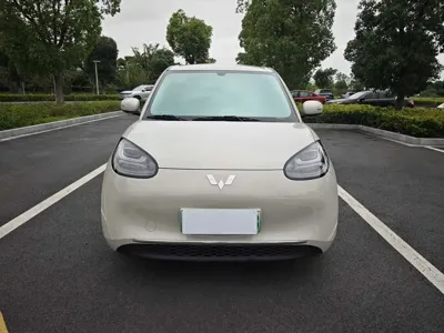 Wuling Bingo