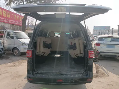 Forthing Lingzhi