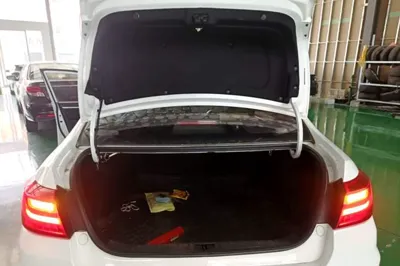 Geely Auto Vision