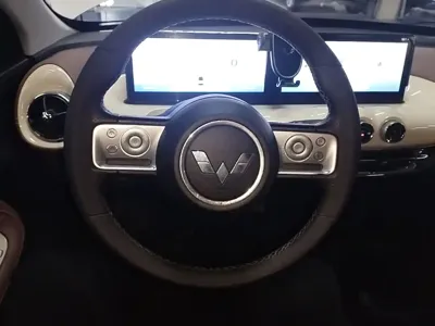 Wuling Bingo