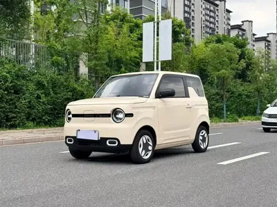 Galaxy Panda